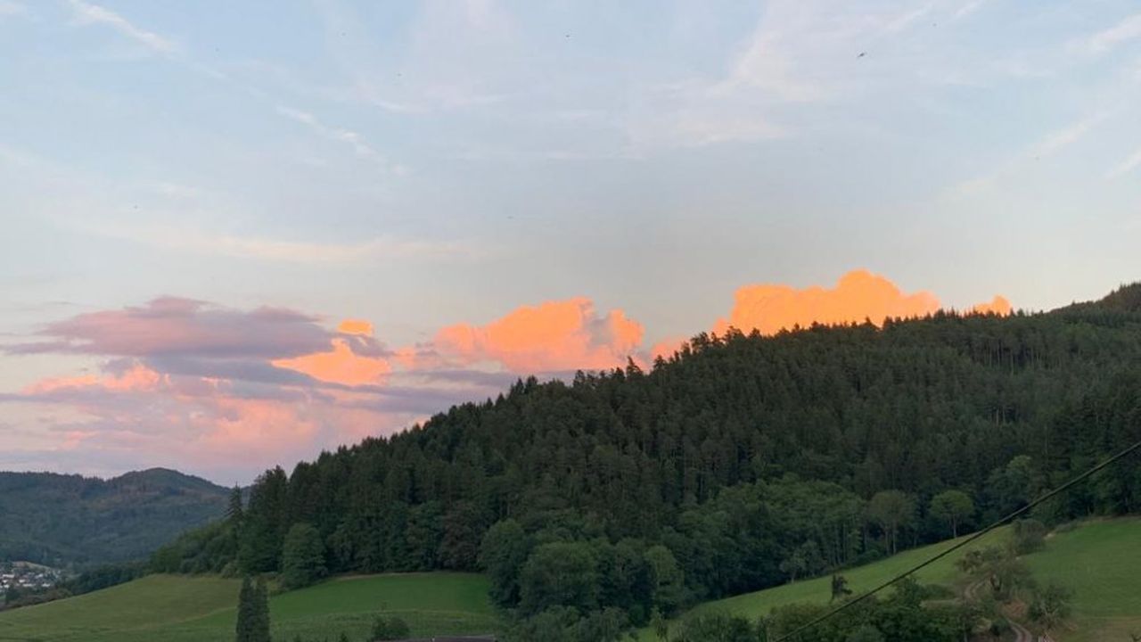 Blick ins Tal Blick ins Tal